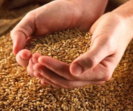 Ser celíaco sin diagnosticar puede causar enfermedades como depresión, infertilidad o diabetes Ser celíaco sin diagnosticar puede causar enfermedades como depresión, infertilidad o diabetes