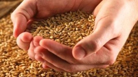 En Espa&ntilde;a uno de cada cien ni&ntilde;os es celiaco