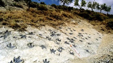 Ruta de los dinosaurios en El Enciso (La Rioja)
