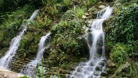 Jard&iacute;n Bot&aacute;nico de Gij&oacute;n