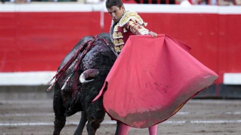 Jos&eacute; Maria Manzanares realiza un pase al sexto toro