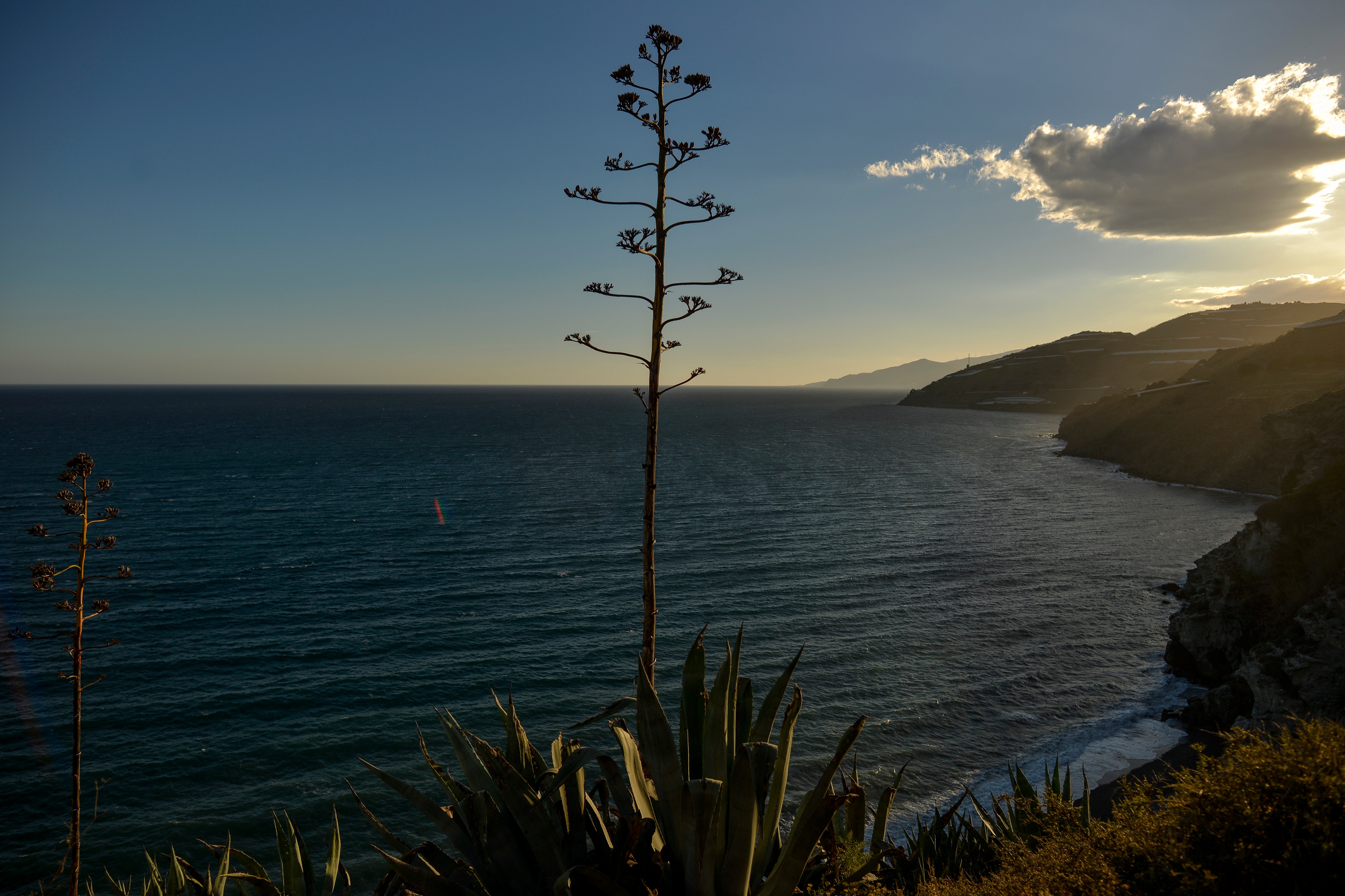 Manifestación en Salobreña Manifestación en Salobreña