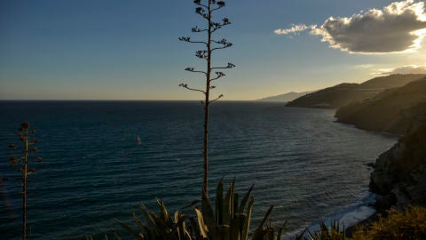 Playa de Albu&ntilde;ol, en Granada