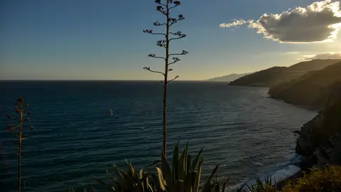 Playa de Albuñol, en Granada Playa de Albuñol, en Granada