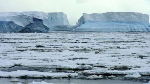 Hielo marino &aacute;rtico