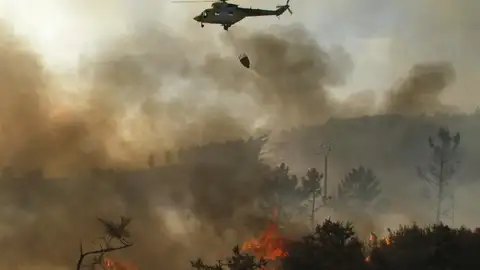 Un verano envuelto en llamas devora 14.000 hectáreas del monte gallego Un verano envuelto en llamas devora 14.000 hectáreas del monte gallego