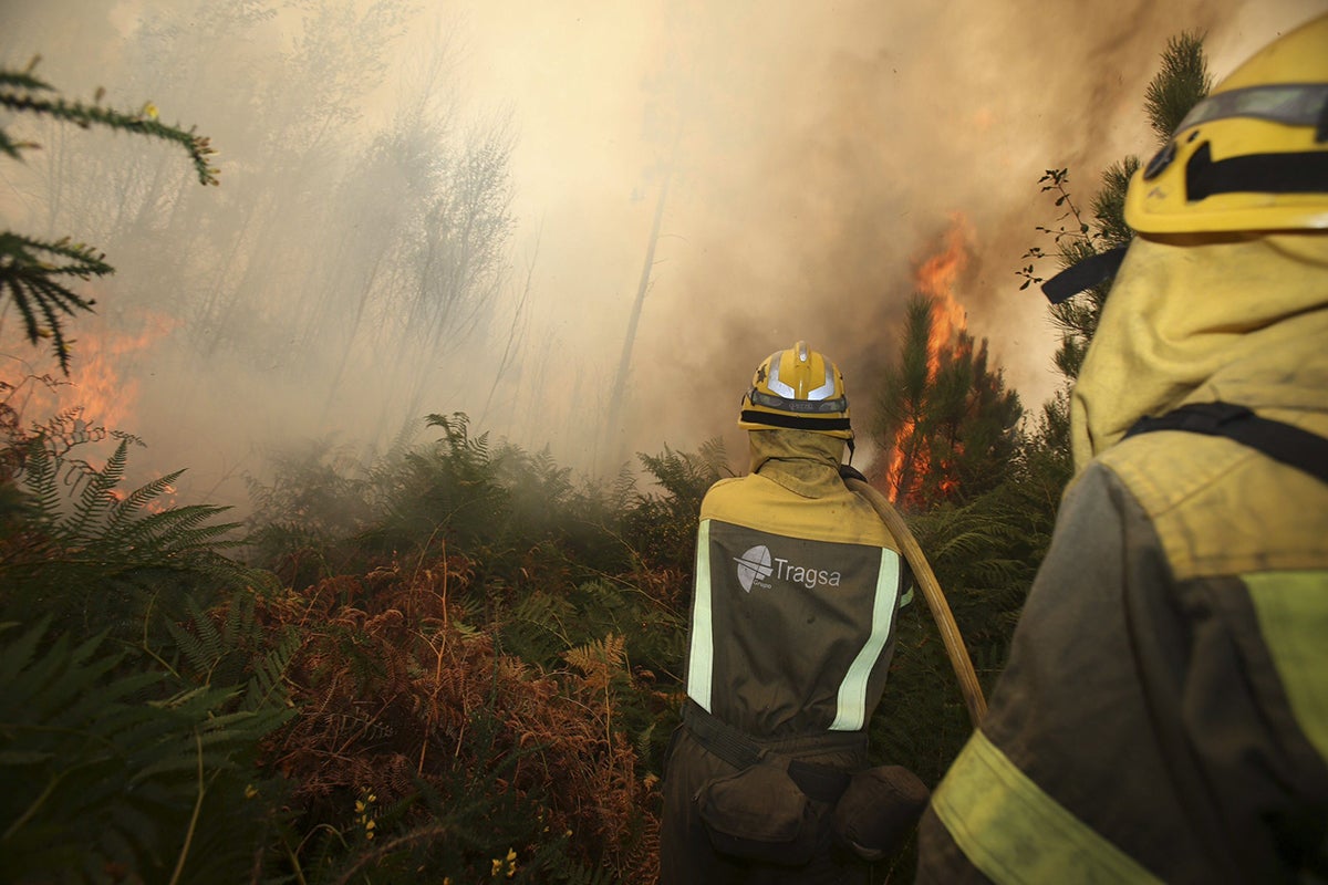 Los fósforos: ¿Has vivido algún incendio forestal? Los fósforos: ¿Has vivido algún incendio forestal?