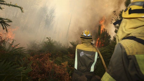 Controlados los incendios forestales de A Mezquita y Vilardev&oacute;s, en Ourense
