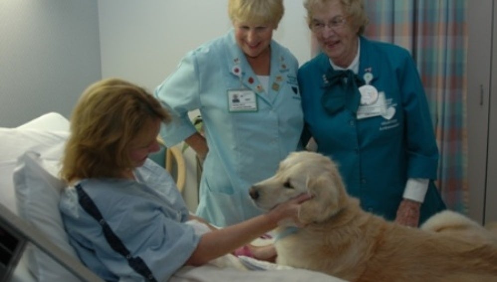 Terapia con perros en el hospital