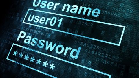Seguridad inform&aacute;tica