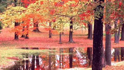 otoño otoño