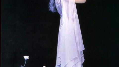 Stevie Nicks