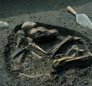 Enterramiento canino de hace 8.500 años hallado en Illinois (EEUU) Enterramiento canino de hace 8.500 años hallado en Illinois (EEUU)