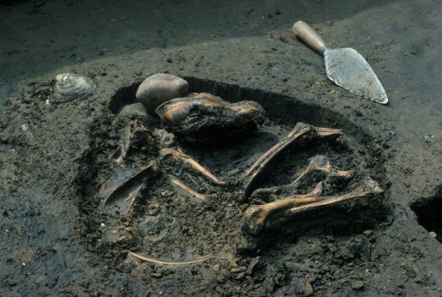 El CSIC reconstruye la historia genómica de la península Ibérica de los últimos 8.000 años El CSIC reconstruye la historia genómica de la península Ibérica de los últimos 8.000 años