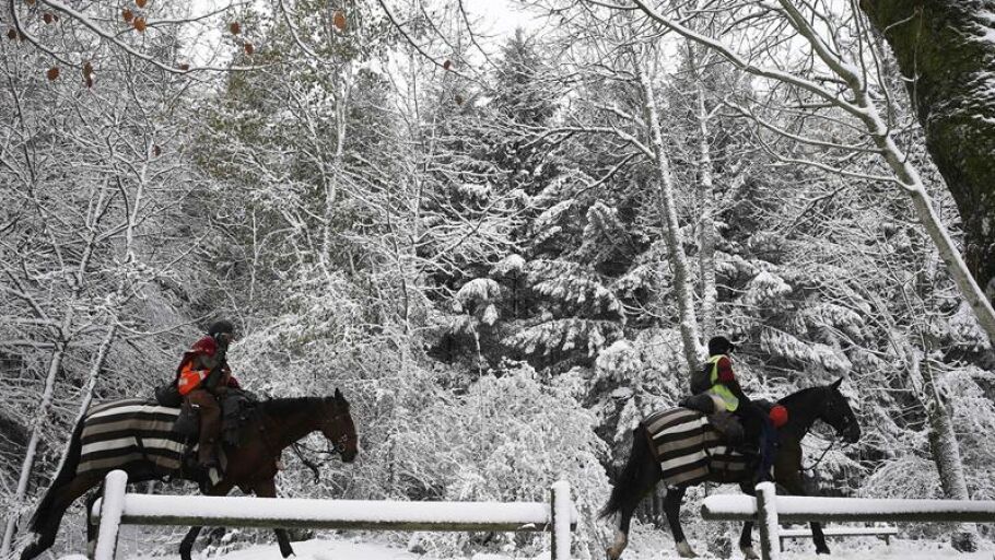 Dos personas montadas en sus caballos pasean por la N-135 en Navarra