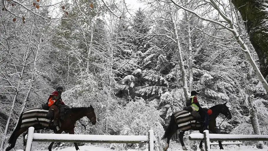 Dos personas montadas en sus caballos pasean por la N-135 en Navarra Dos personas montadas en sus caballos pasean por la N-135 en Navarra