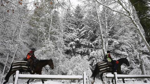 Dos personas montadas en sus caballos pasean por la N-135 en Navarra