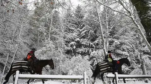 Dos personas montadas en sus caballos pasean por la N-135 en Navarra Dos personas montadas en sus caballos pasean por la N-135 en Navarra