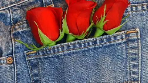 Rosas en el bolsillo Rosas en el bolsillo