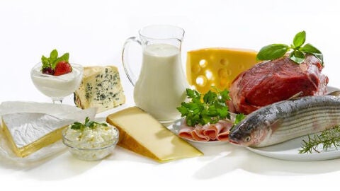 Alimentaci&oacute;n equilibrada