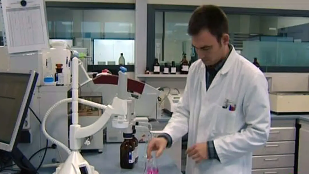 Las universidades públicas se reinventan para evitar la fuga de cerébros Las universidades públicas se reinventan para evitar la fuga de cerébros