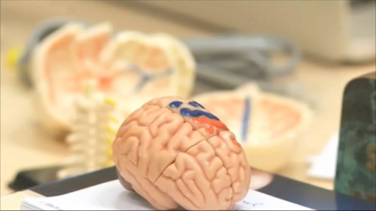 Roberto Pérez Marijuan: "Plasmar los pensamientos en el papel nos ayuda a relajar el cerebro" Roberto Pérez Marijuan: "Plasmar los pensamientos en el papel nos ayuda a relajar el cerebro"