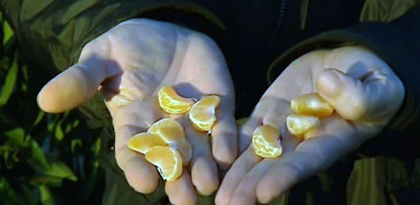 La última noche del año se prepara en Castellón con un gran dispositivo de seguridad La última noche del año se prepara en Castellón con un gran dispositivo de seguridad