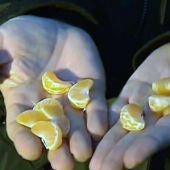 Mandarinas por uvas: el cambio propuesto por los agricultores de Castellón para Nochevieja