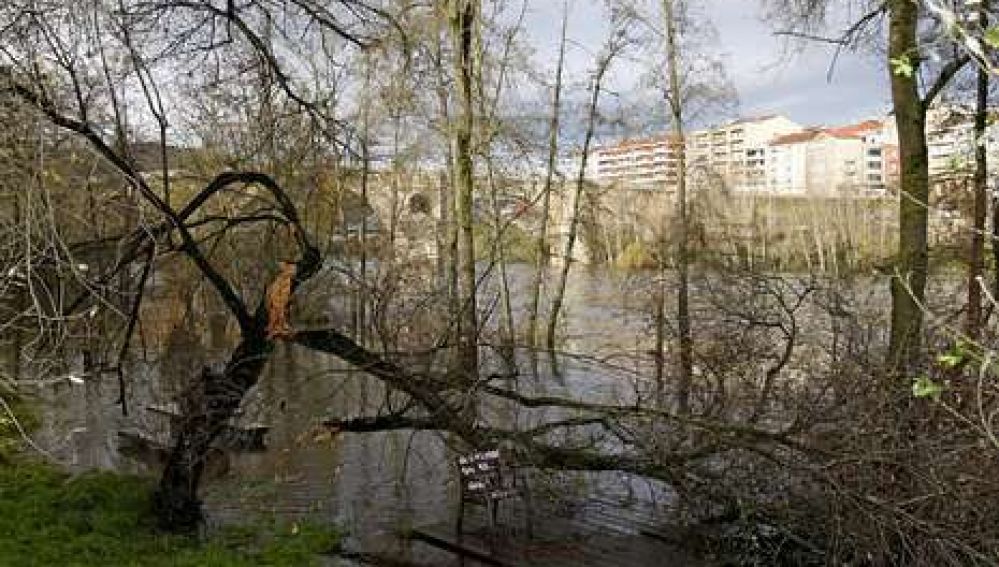 Temporal ourense II