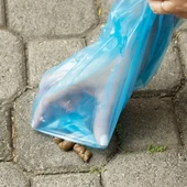 Recogiendo los excrementos de un perro Recogiendo los excrementos de un perro