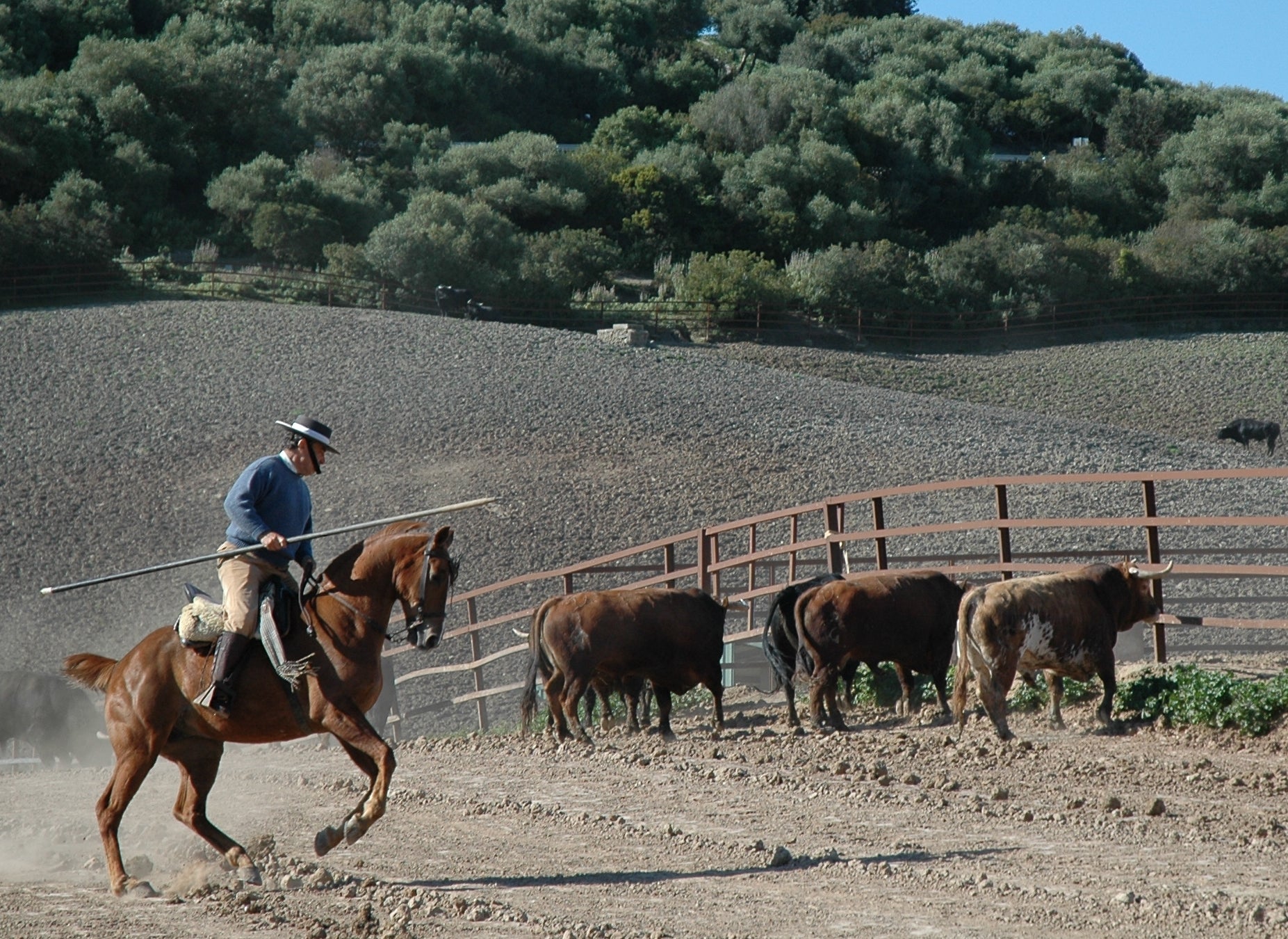 Aquí en la Onda. Navarra. Ricardo Gallardo, ganadero de "Fuente Ymbro": "Tengo ya guardada la corrida de Pamplona de 2015" Aquí en la Onda. Navarra. Ricardo Gallardo, ganadero de "Fuente Ymbro": "Tengo ya guardada la corrida de Pamplona de 2015"