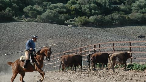 Ricardo Gallardo a caballo