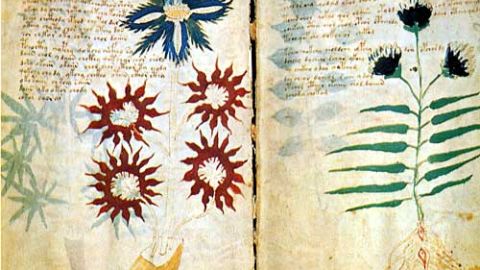 Manucrito Voynich