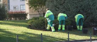 Forent Marcellesi: "Necesitamos una prohibición total al glifosato porque existen alternativas" Forent Marcellesi: "Necesitamos una prohibición total al glifosato porque existen alternativas"