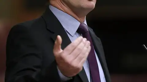 Alfred Bosch se dirige a los diputados en el Congreso Alfred Bosch se dirige a los diputados en el Congreso