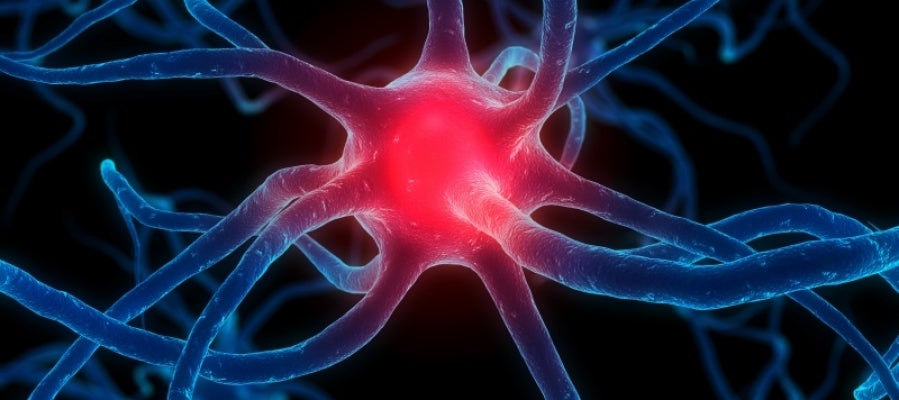 Imágenes de resonancia magnética de alto campo pueden permitir el diagnóstico temprano del Parkinson Imágenes de resonancia magnética de alto campo pueden permitir el diagnóstico temprano del Parkinson