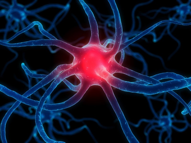 Descubren un nuevo biomarcador que puede ayudar a la detección temprana del Alzheimer o el Parkinson Descubren un nuevo biomarcador que puede ayudar a la detección temprana del Alzheimer o el Parkinson