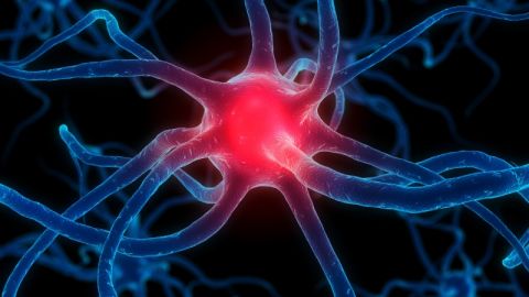 Im&aacute;genes de resonancia magn&eacute;tica de alto campo pueden permitir el diagn&oacute;stico temprano del Parkinson