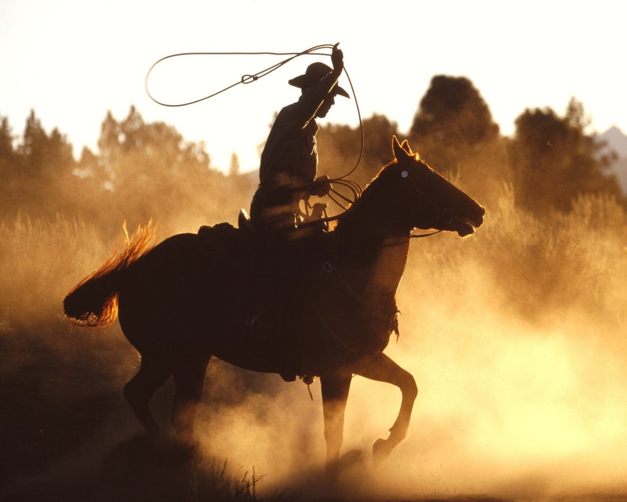 Canciones sobre cowboys Canciones sobre cowboys