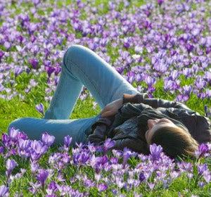 Primavera Primavera