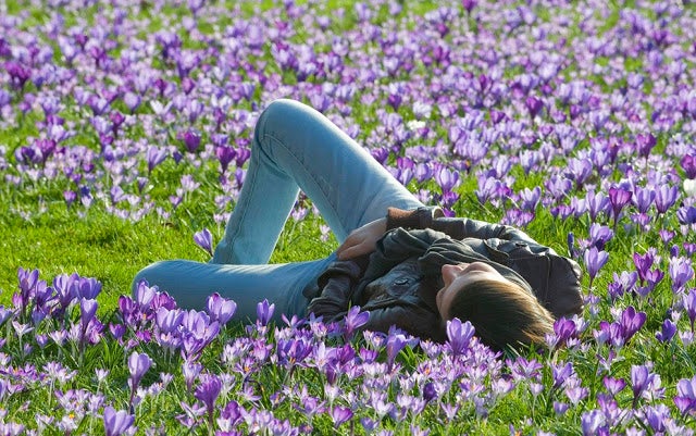 Pamplona en la Onda. Propuestas de todo tipo para el primer fin de semana de primavera: teatro con Juan Echanove y María Galiana, encuentro con la escritora Clara Sánchez en Civican y Salón de Salud, Belleza y Bienestar en Baluarte. Pamplona en la Onda. Propuestas de todo tipo para el primer fin de semana de primavera: teatro con Juan Echanove y María Galiana, encuentro con la escritora Clara Sánchez en Civican y Salón de Salud, Belleza y Bienestar en Baluarte.