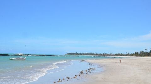 Praia dos Carneiros