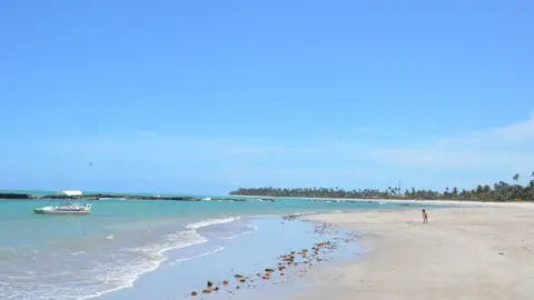 Praia dos Carneiros Praia dos Carneiros