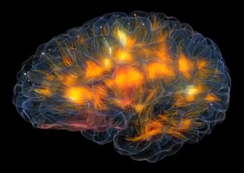 Tertulia Zona Cero: El hackeo del cerebro humano Tertulia Zona Cero: El hackeo del cerebro humano