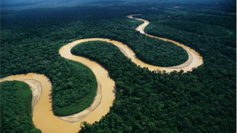 Meandros en el río Amazonas