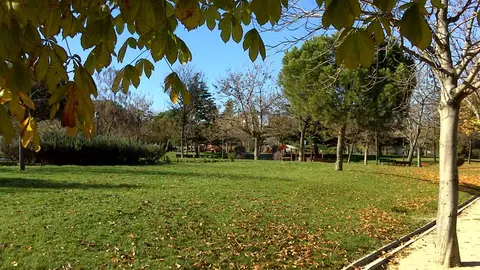 Parque de la Dehesa Boyal, en Madrid Parque de la Dehesa Boyal, en Madrid