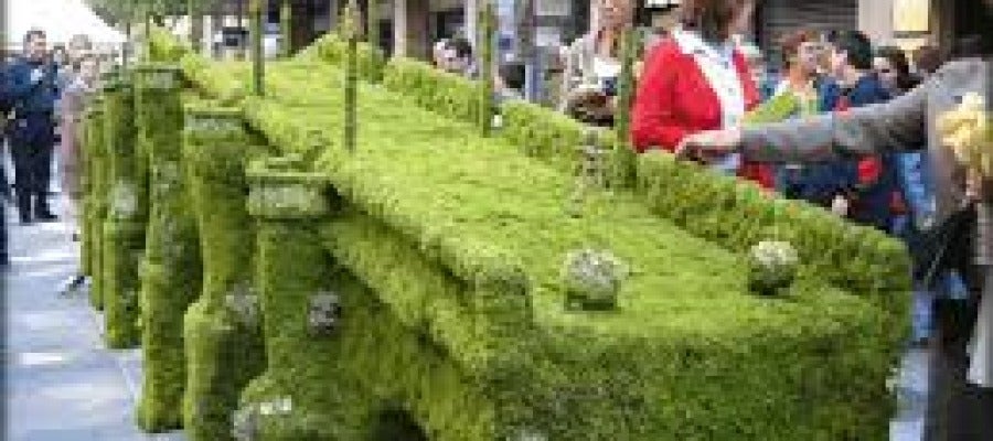 maios ourense maios ourense