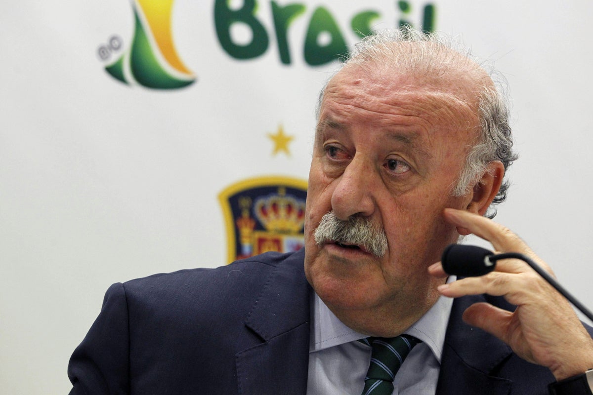 Vicente del Bosque: "No podemos presumir y decir que vamos a ganar el Mundial" Vicente del Bosque: "No podemos presumir y decir que vamos a ganar el Mundial"