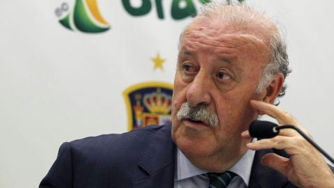 Vicente Del Bosque: "Alg&uacute;n jugador que no ha debutado puede ir al Mundial"