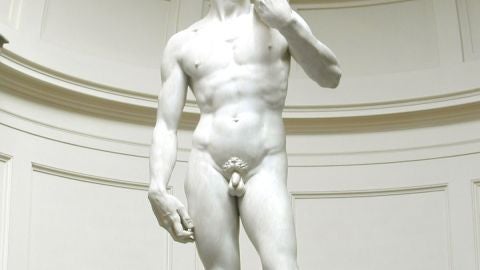El David de Miguel &Aacute;ngel